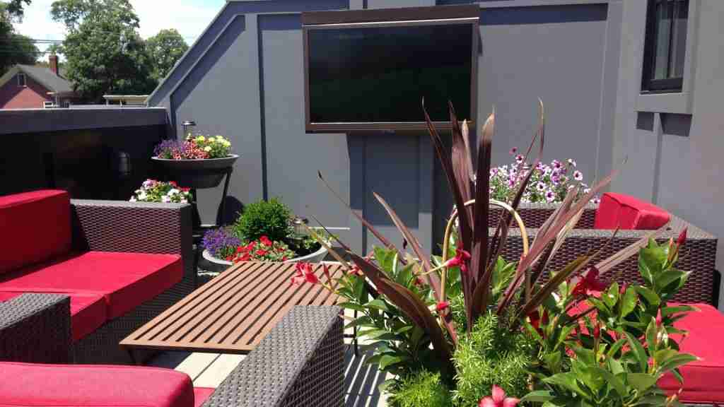 Diseno sin titulo 14